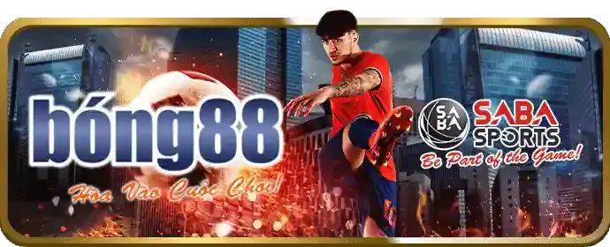 Hoàn trả hàng tuần cho cá cược thể thao