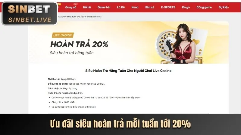 Đội ngũ hỗ trợ khách hàng Sinlebet